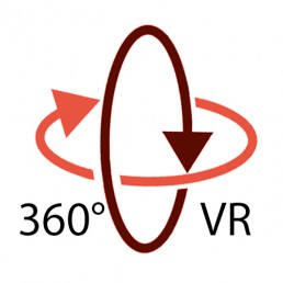 SeeSense 360 logo